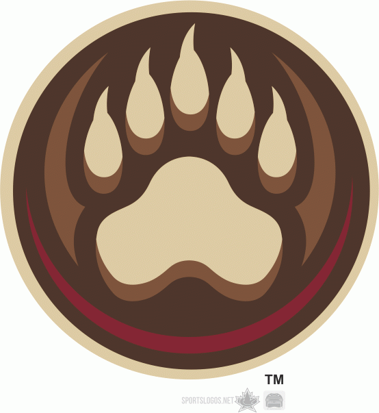 Hershey Bears 2012 13-Pres Secondary Logo v2 iron on heat transfer...
